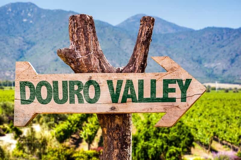 Depuis Porto : Vallée du Douro avec tour en bateau, dégustation de vin et déjeuner