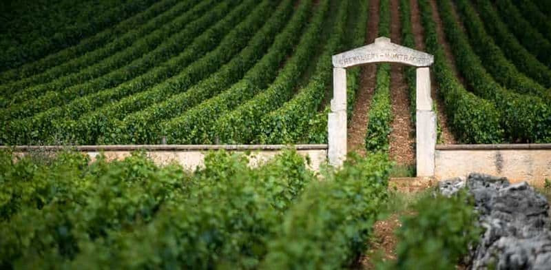Billet Vignobles de Bourgogne : visites privées de luxe