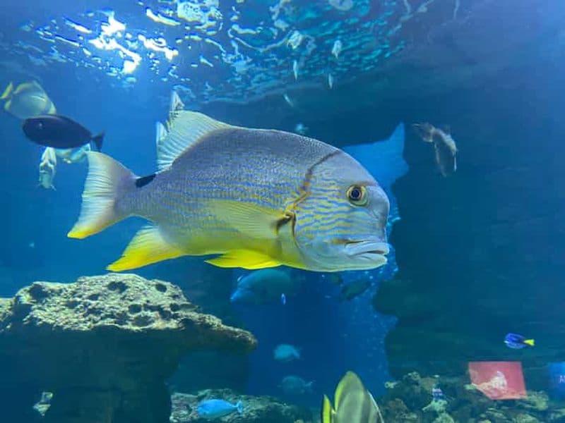 Paris : Aquarium de Paris, une plongée dans les profondeurs marines