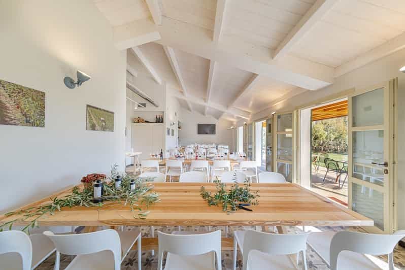 Alghero : Excursion au coucher du soleil pour déguster du vin et de l'huile d'olive dans un vignoble de charme