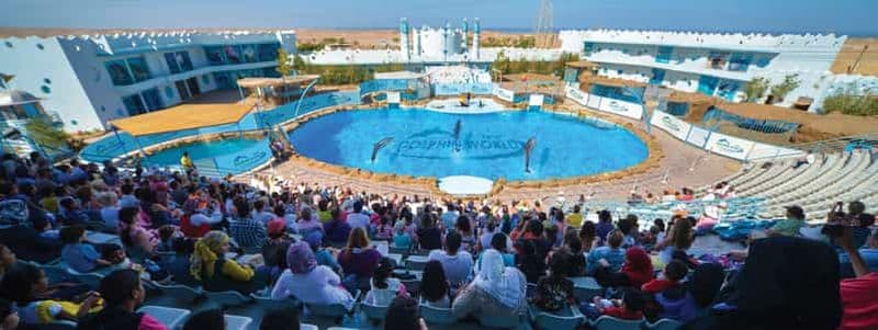 Hurghada : Spectacle du monde des dauphins avec les morses et le ramassage