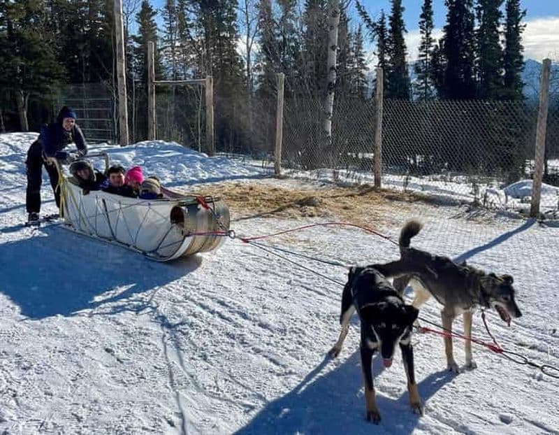 Visite d'une journée à Whitehorse : traîneau à chiens et culture