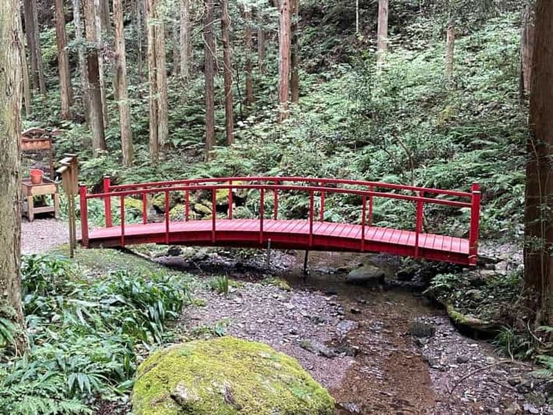 Depuis Tokyo : Randonnée dans les montagnes et visite d'une cascade pittoresque