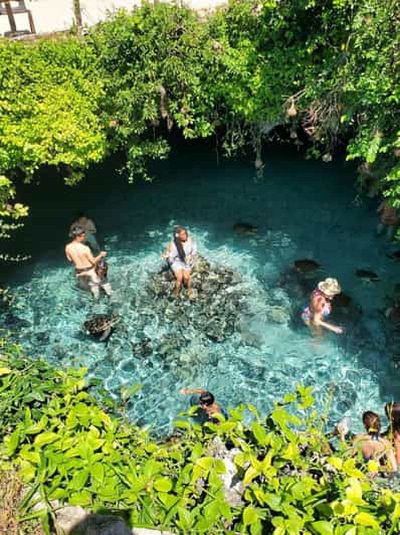 Billet ZANZIBAR : Salaam Cave, nage avec les tortues de mer à Kizimkazi