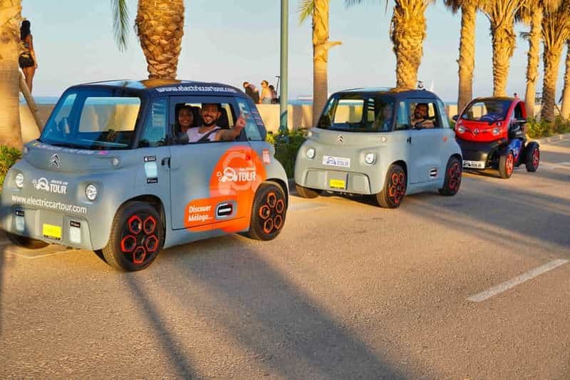 Billet Prise en charge au terminal de croisière : Malaga en 2 heures en voiture électrique