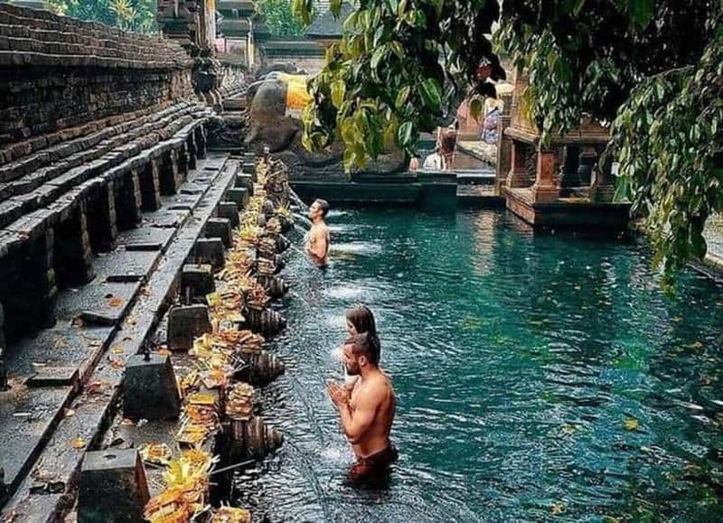 Billet Ubud : forêt de singes, temple, rizière et cascade