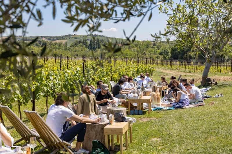Billet Visite de vignobles et de caves avec dégustation de vins de Romagne