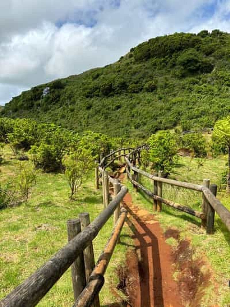 Billet Baignade en forêt