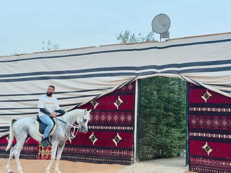 Promenade à cheval et détente au camp Arabian Experience