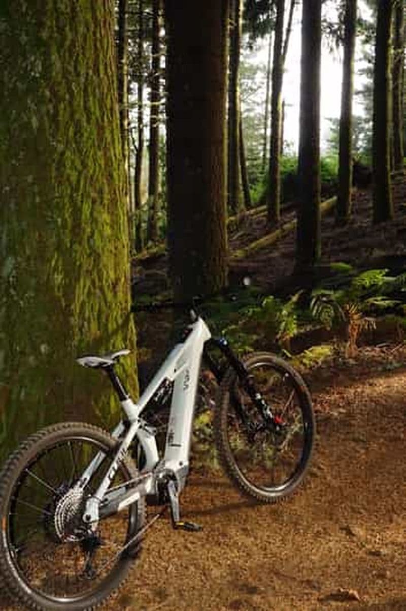 Billet Madère : visite guidée de Santo da Serra en vélo électrique