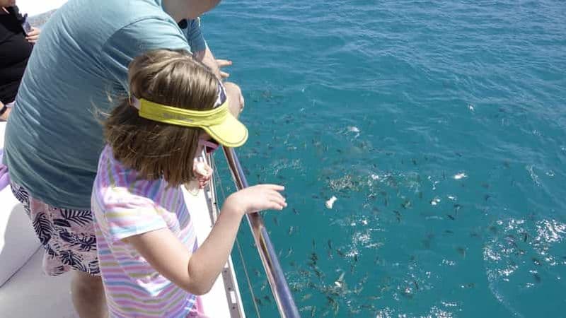 Billet Mahé : récifs du parc marin de Sainte Anne, safari et déjeuner