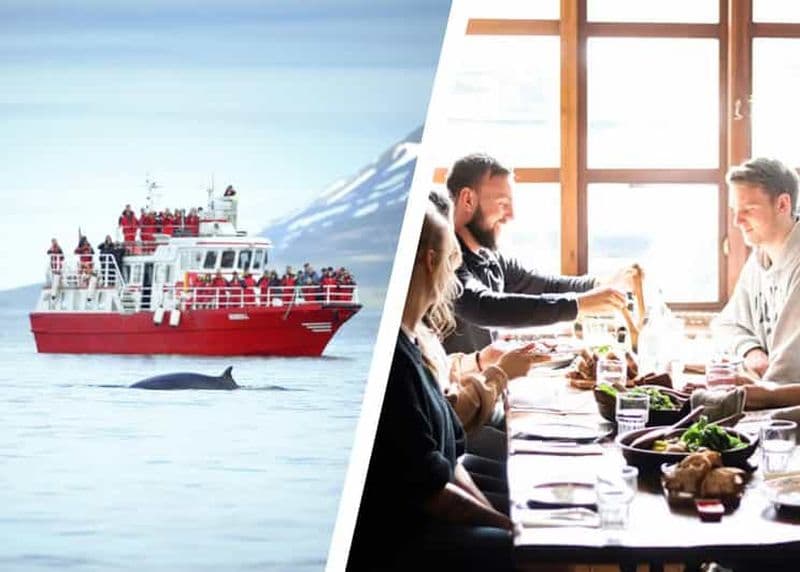Billet Akureyri : visite culinaire et observation des baleines