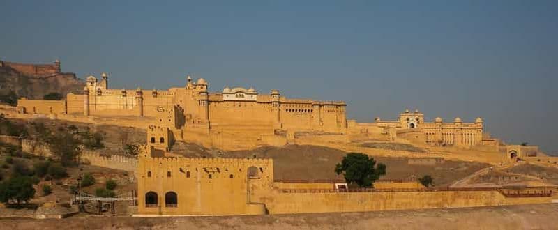 Billet Au départ de Delhi : visite guidée privée de Jaipur et du fort d'Amber en voiture
