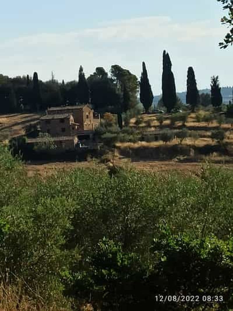 Billet Excursions privées à Pise et Florence depuis Livourne