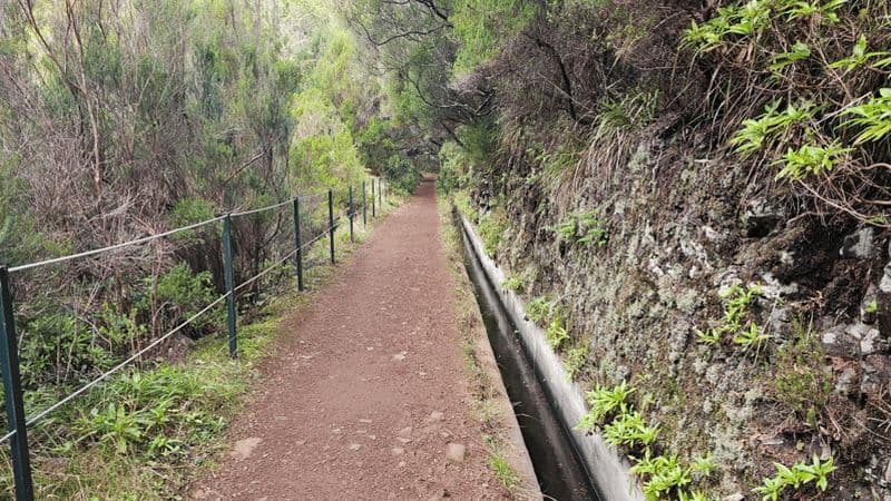 Billet 25 Randonnée Fontes Levada - Rabaçal (Calheta)