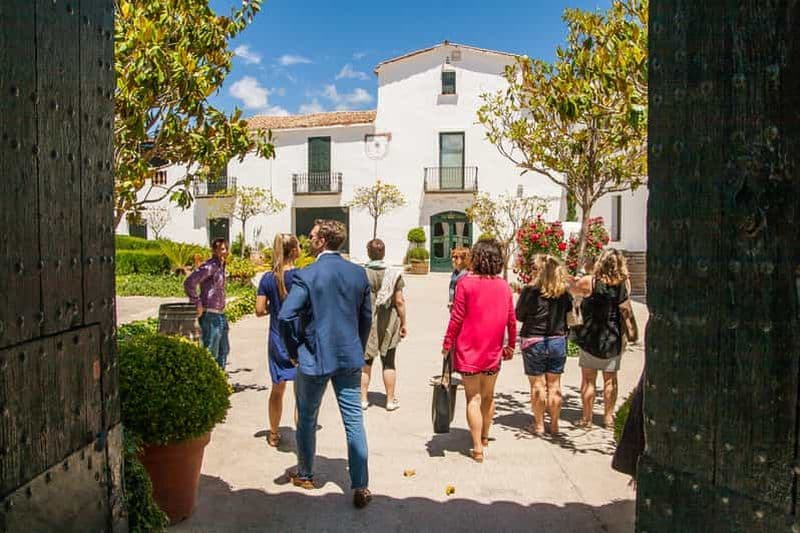 Billet Expérience privée de dégustation de vins, de tapas et de cava au départ de Barcelone