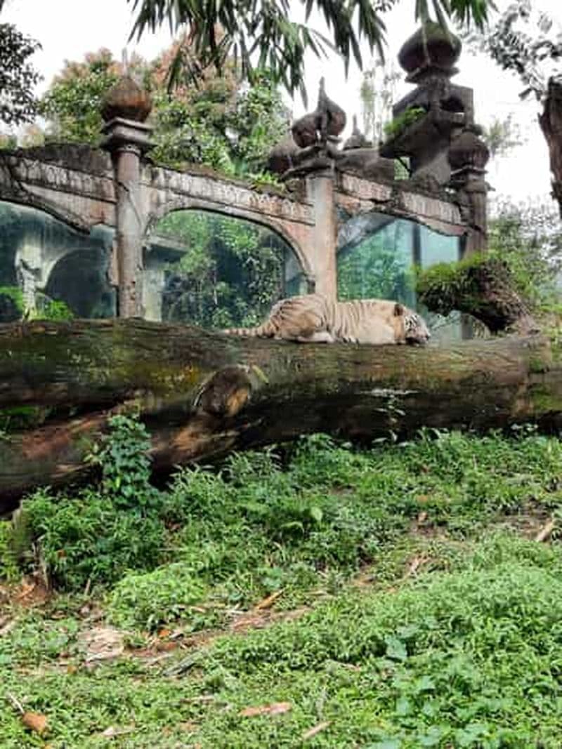 Jakarta : Taman Safari, Palais du Panda et chute d'eau