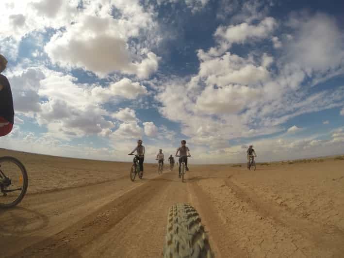 Amman : Les châteaux du désert d'Azraq et les zones humides à vélo
