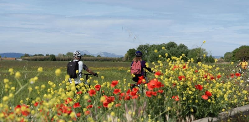 Billet Aix-en-Provence: Tour Nature en Vélo Électrique