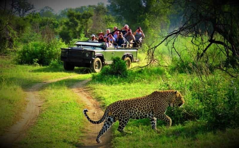 Depuis Katmandou/Pokhara : Visite privée de 3 jours du safari de Chitwan