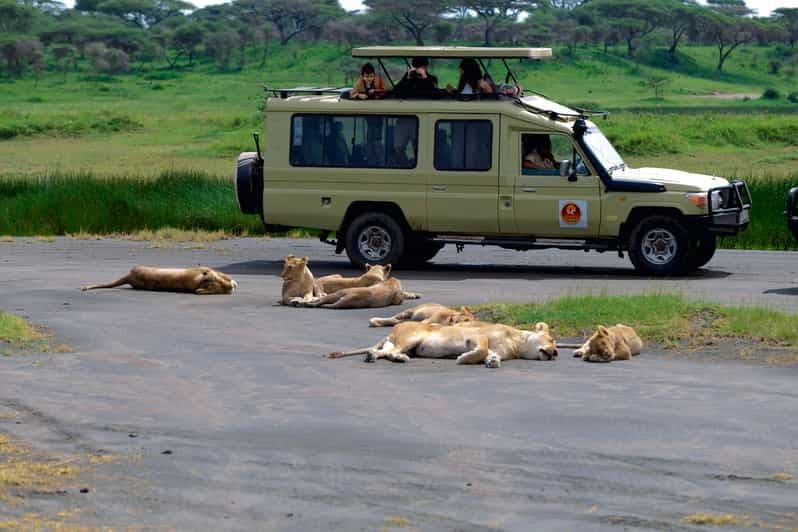 Billet Cratère du Ngorongoro : safari d'une jounée