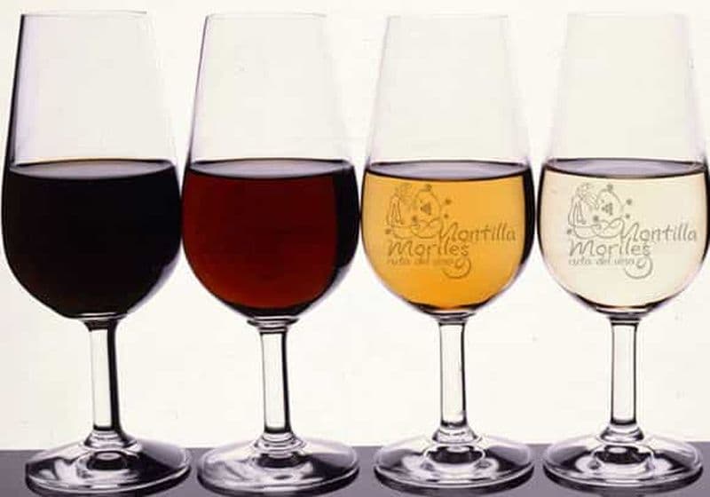 Dégustation de vins et tapas locales à Cordoue