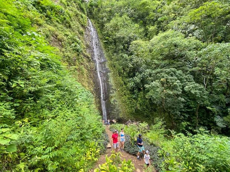 Billet Oahu : Randonnée privée dans la vallée de Manoa et chute d'eau