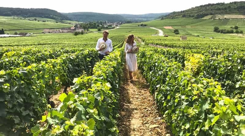 Billet De : Dijon/Beaune : Visite des vignobles de la région de Bourgogne avec déjeuner