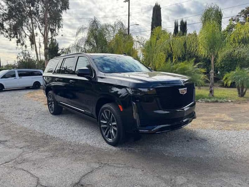 Transfert aéroport de Los Angeles (LAX), accueil et réception