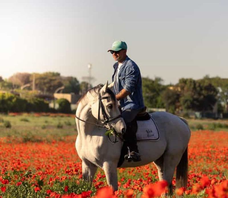 Sanctuaire pour chevaux à Rome