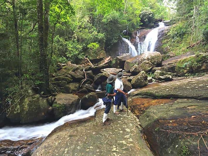 Billet Visite à pied de la forêt tropicale de Sinharaja et observation des oiseaux par l'UNESCO