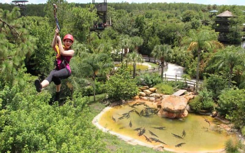 Orlando : Aventure en tyrolienne à Gatorland avec accès au parc pour la journée entière