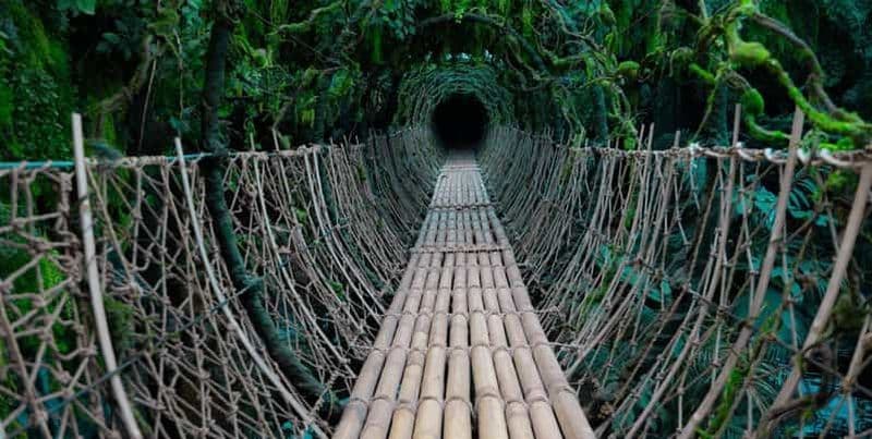 Jeddah : Visite des terres tropicales en famille avec patinage et bowling