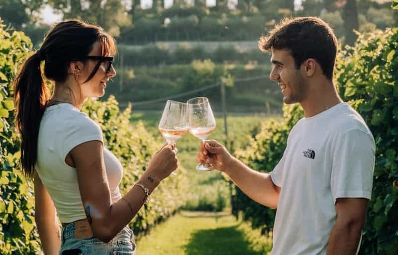 Billet Lac de Garde : Dégustations de vins et de mets dans les vignobles