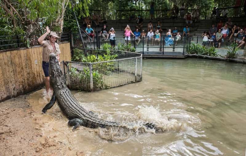 Cairns : Visite de Hartley's Crocodile Adventures avec transfert