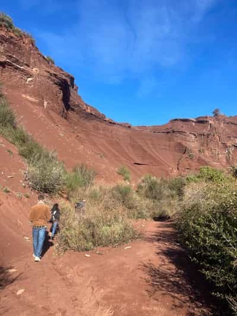 Billet Montpellier : Celles, Capitelles et dégustation de vins locaux