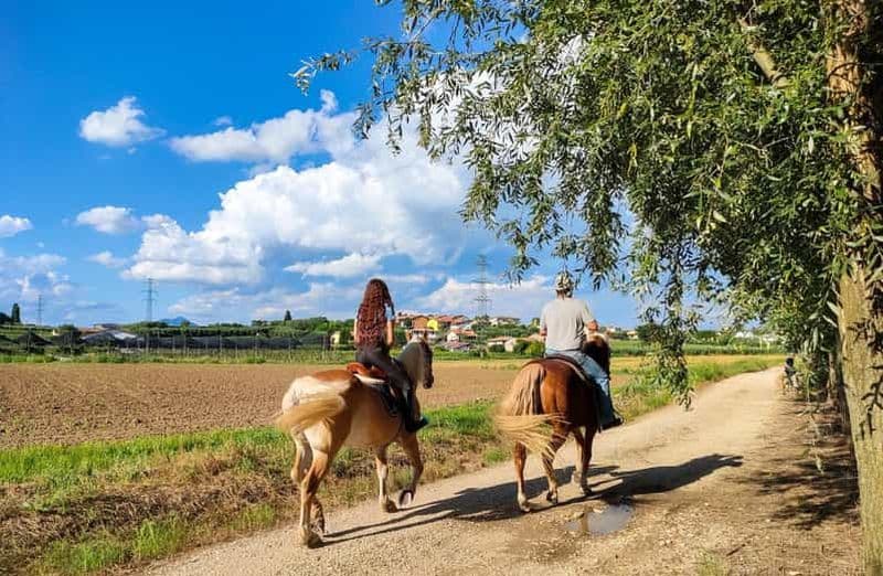 Lazise : balade à cheval et pique-nique à la ferme avec produits locaux