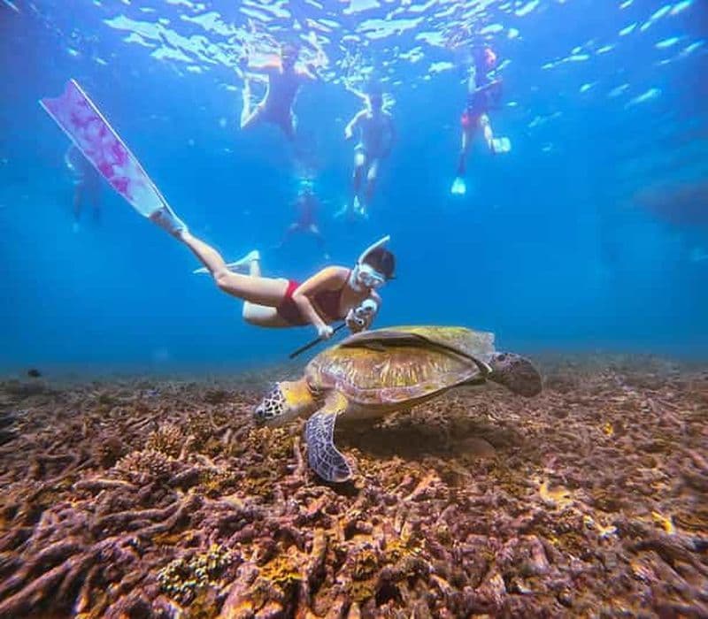 Ko Pha Ngan : Aventure de plongée en apnée à Koh Tao et Koh Nangyuan
