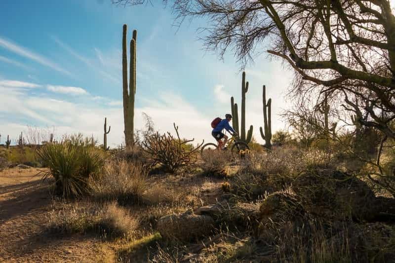 Billet Scottsdale : Visite d'une demi-journée en VTT dans le désert de Sonoran