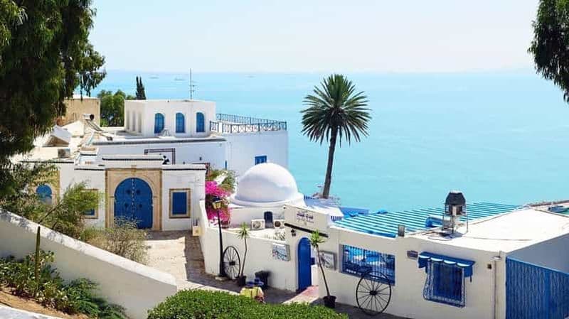 Billet Hammamet : Carthage, Sidi Bou Said et la médina de Tunis avec déjeuner