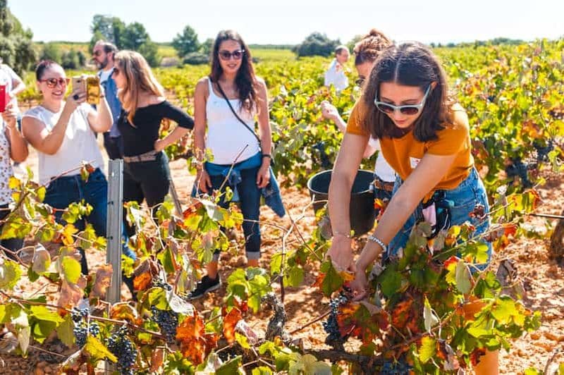 Billet Valence : dégustation de vin haut de gamme et déjeuner gastronomique de 3 plats