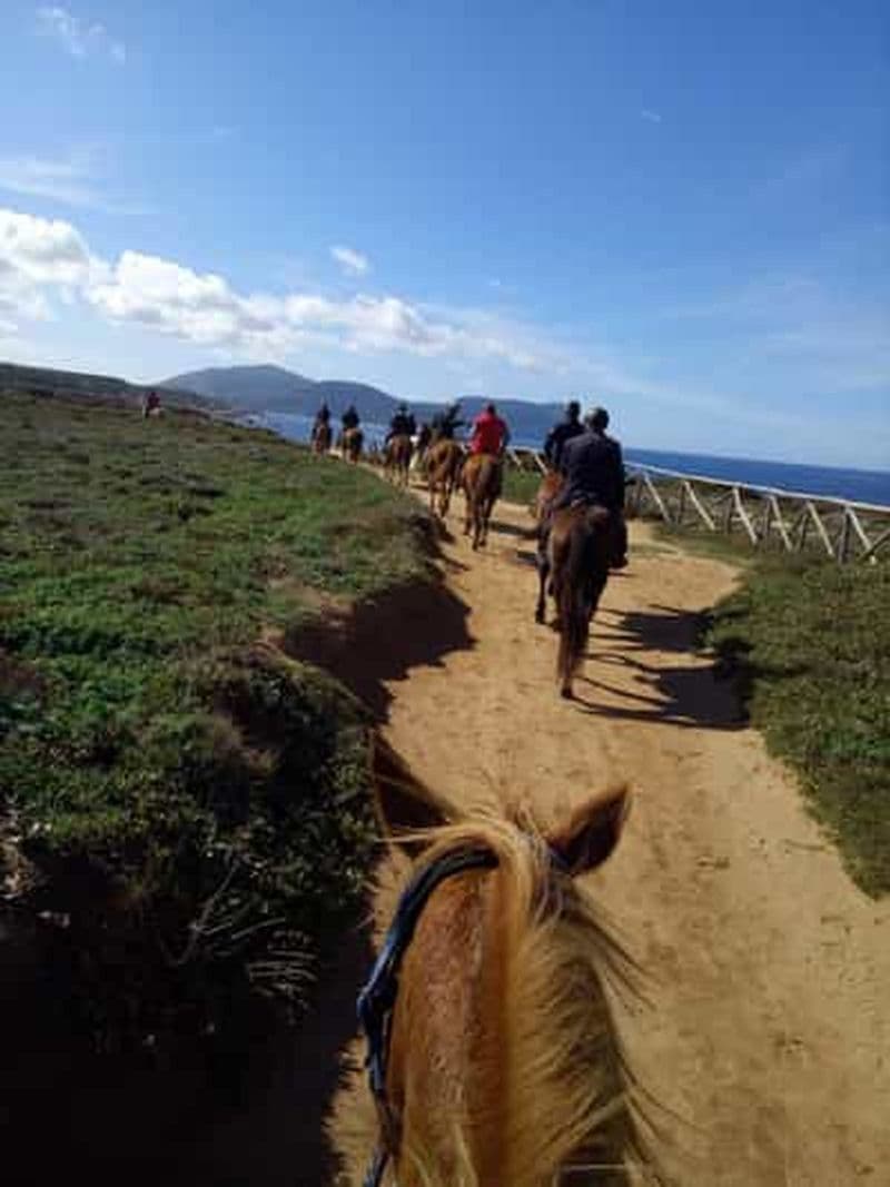 Alghero : randonnées à cheval pour les experts dans le lac Baratz