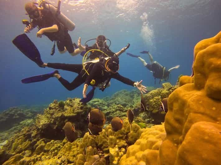 Au départ de Phuket : Excursion d'une journée pour faire de la plongée sous-marine sur les îles Similan