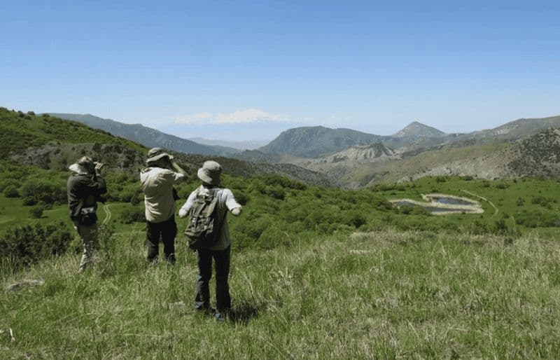 Billet Depuis l'Arménie : aventure de 2 jours d'observation des oiseaux et de randonnée