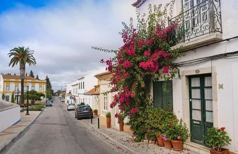 Azeitão - Fromage, tuiles et vin