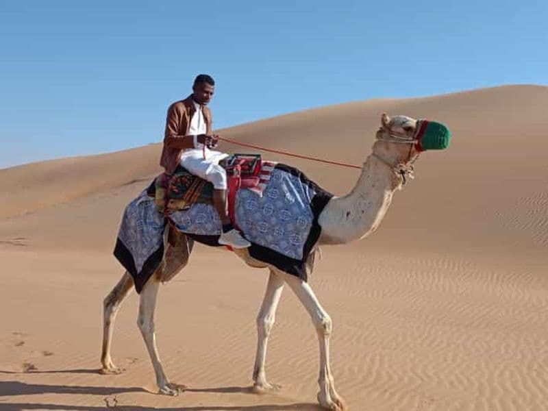 Billet Liwa : aventure traditionnelle de balade à dos de chameau dans le désert