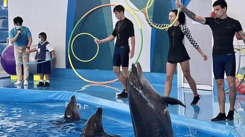 Pattaya : Billet VIP pour le spectacle des dauphins avec transfert privé