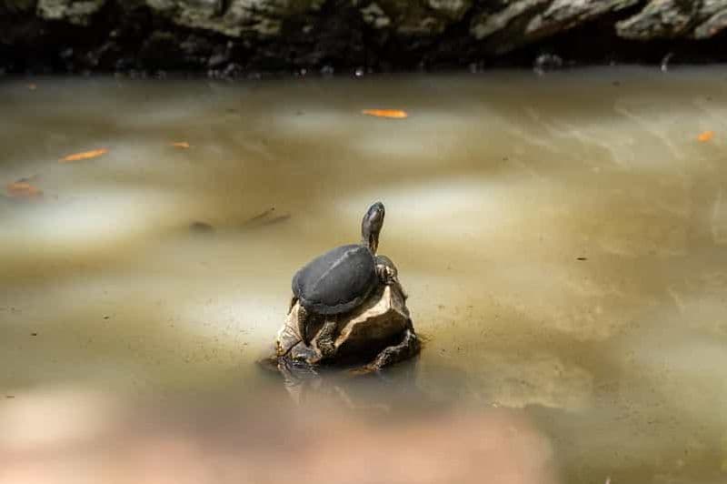 Billet Saranda 1 jour : Butrint, Ksamil, l'Œil Bleu et le château de Lekuresi