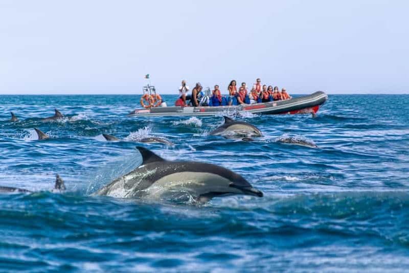 Billet Albufeira : Dauphins et Grottes de Benagil - Bateau RIB