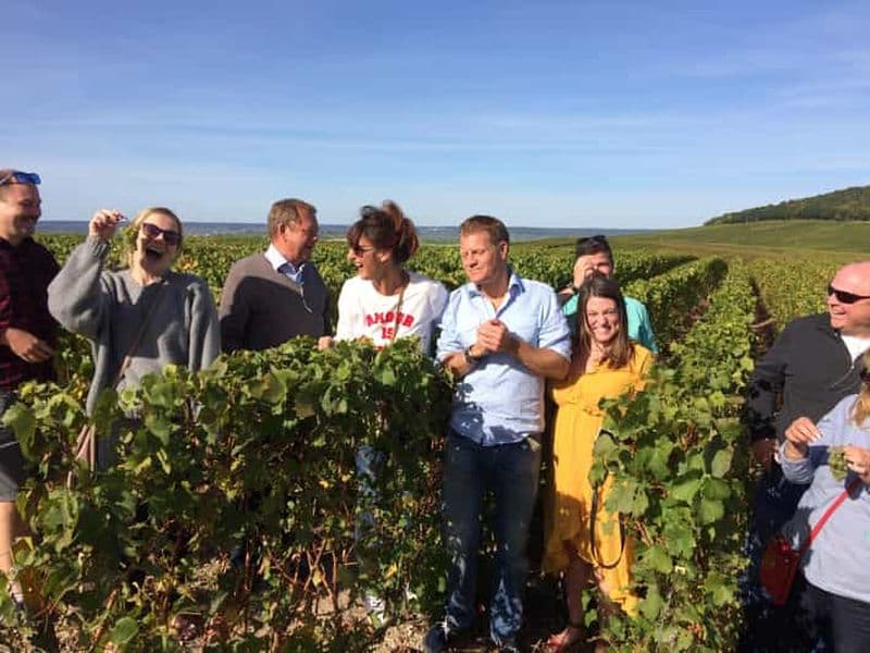 Billet Au départ de Reims/Epernay : visite d'une demi-journée en Champagne (petit groupe)